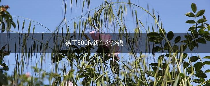 徐工500fv新车多少钱,第1张
