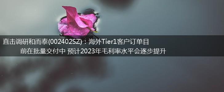 直击调研和而泰(002402SZ)：海外Tier1客户订单目前在批量交付中 预计2023年毛利率水平会逐步提升,第1张