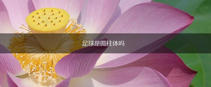 足球是圆柱体吗,第1张