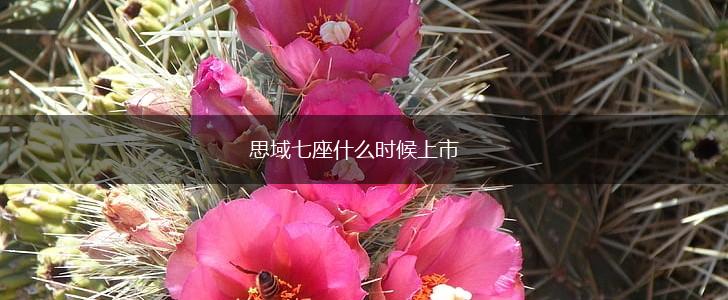 思域七座什么时候上市,第1张