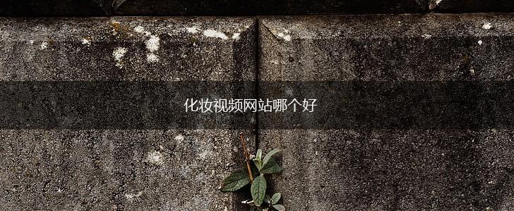 化妆视频网站哪个好,第1张