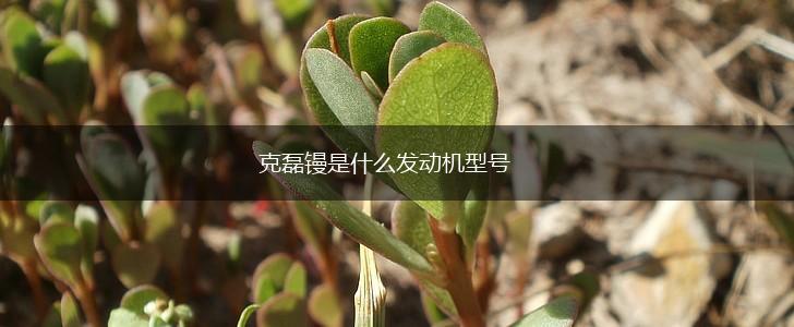 克磊镘是什么发动机型号,第1张