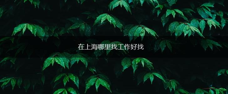 在上海哪里找工作好找,第1张