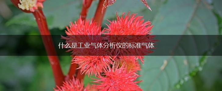什么是工业气体分析仪的标准气体,第1张