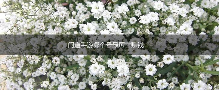 问道手游哪个号最厉害赚钱,第1张