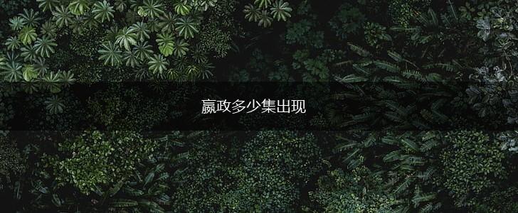 嬴政多少集出现,第1张