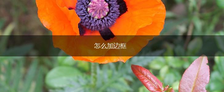 怎么加边框,第1张