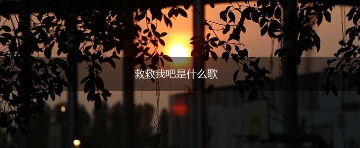 救救我吧是什么歌,第1张