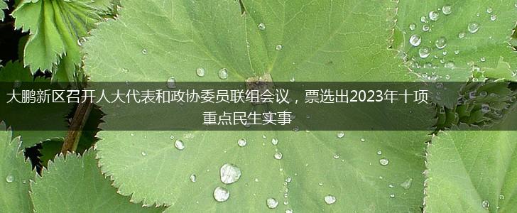 大鹏新区召开人大代表和政协委员联组会议，票选出2023年十项重点民生实事,第1张