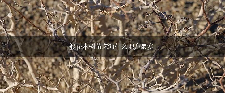 一般花木树苗珠海什么地方最多,第1张
