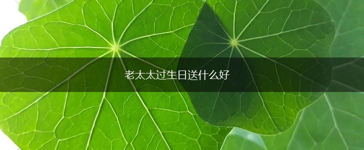 老太太过生日送什么好,第1张