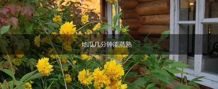 地瓜几分钟能蒸熟,第1张