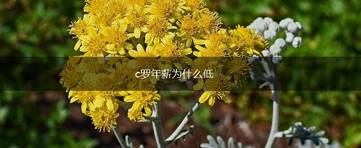 c罗年薪为什么低,第1张