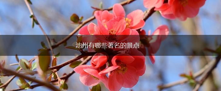 池州有哪些著名的景点,第1张
