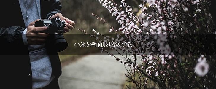 小米5背面玻璃多少钱,第1张