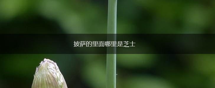 披萨的里面哪里是芝士,第1张