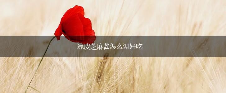 凉皮芝麻酱怎么调好吃,第1张