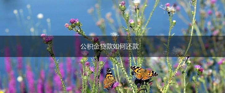 公积金贷款如何还款,第1张