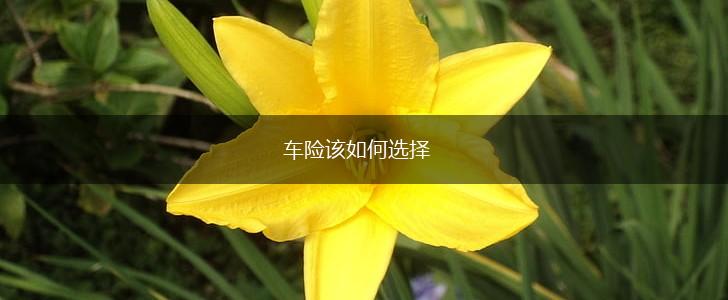 车险该如何选择,第1张