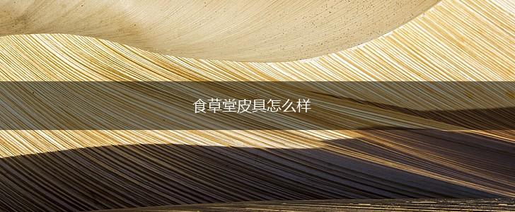 食草堂皮具怎么样,第1张