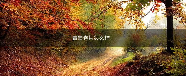 胃复春片怎么样,第1张