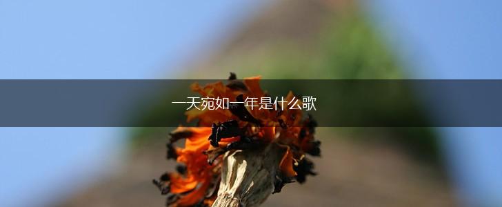 一天宛如一年是什么歌,第1张