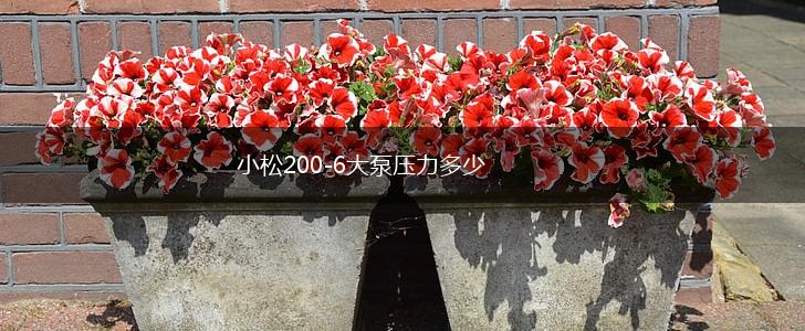小松200-6大泵压力多少,第1张