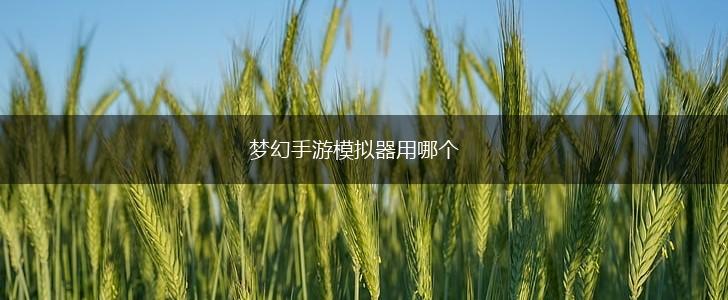 梦幻手游模拟器用哪个,第1张