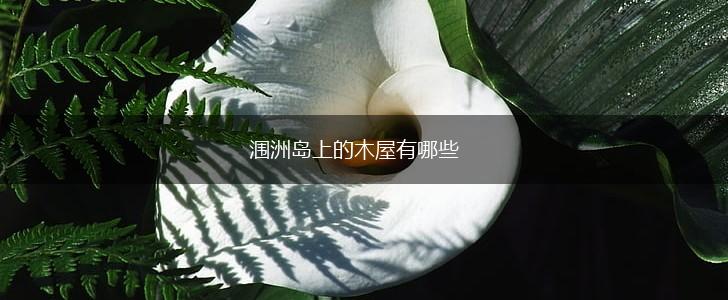 涠洲岛上的木屋有哪些,第1张