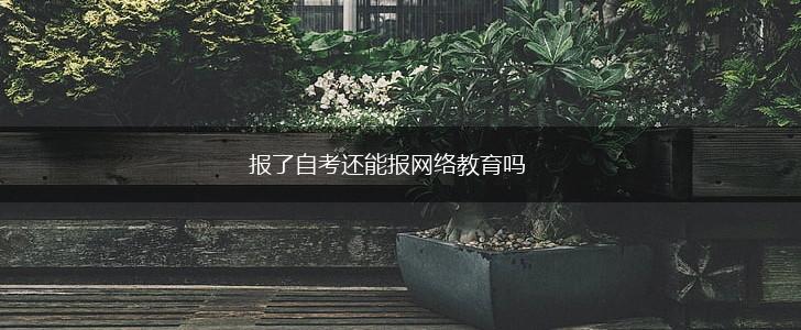 报了自考还能报网络教育吗,第1张