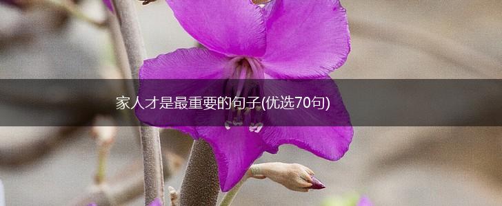 家人才是最重要的句子(优选70句),第1张