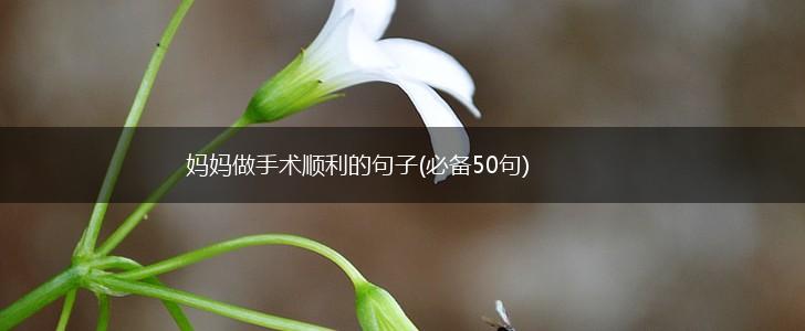妈妈做手术顺利的句子(必备50句),第1张