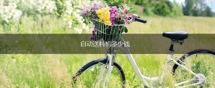 自动送料机多少钱,第1张