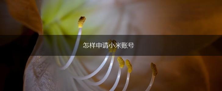 怎样申请小米账号,第1张