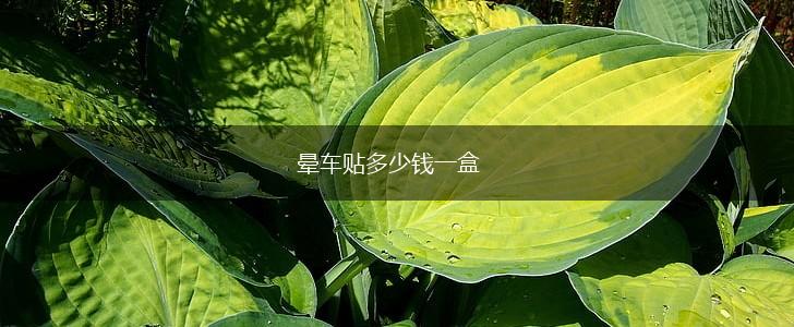 晕车贴多少钱一盒,第1张