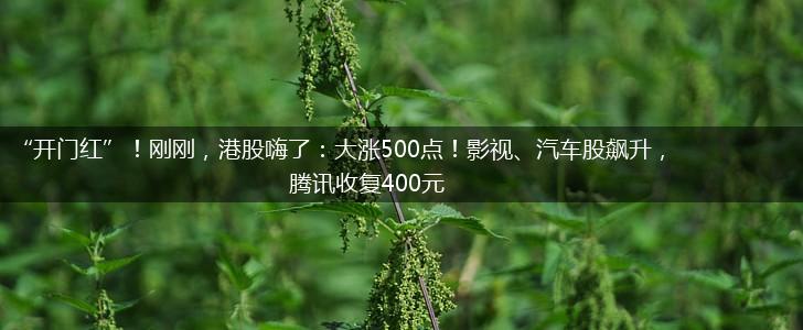 “开门红”！刚刚，港股嗨了：大涨500点！影视、汽车股飙升，腾讯收复400元,第1张