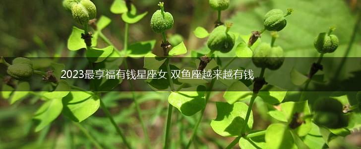 2023最享福有钱星座女 双鱼座越来越有钱,第1张