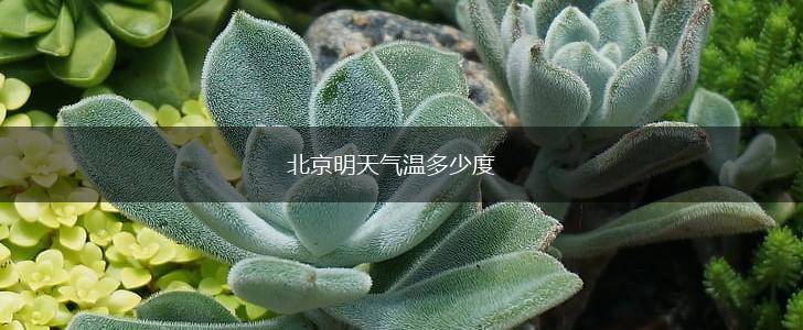 北京明天气温多少度,第1张