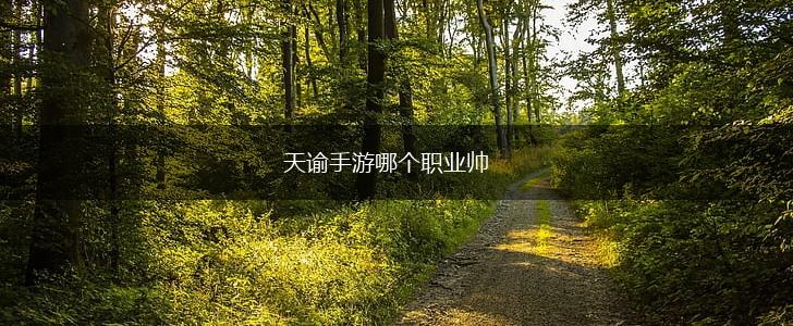 天谕手游哪个职业帅,第1张