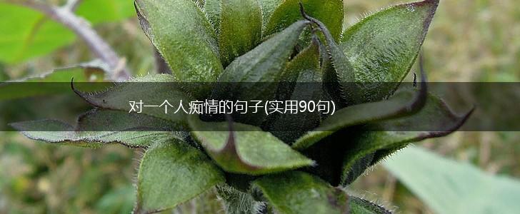 对一个人痴情的句子(实用90句),第1张
