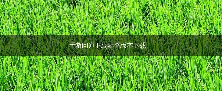手游问道下载哪个版本下载,第1张
