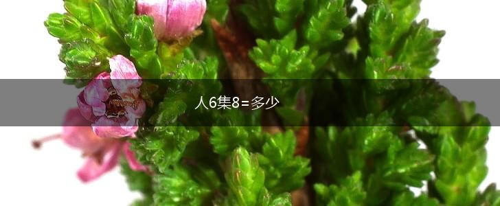 人6集8=多少,第1张