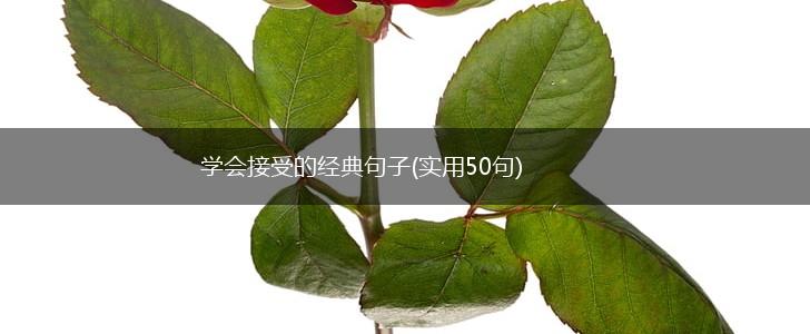 学会接受的经典句子(实用50句),第1张