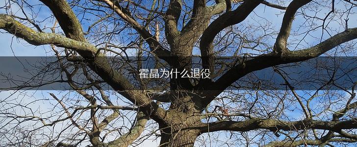 霍晶为什么退役,第1张