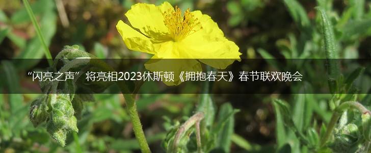 “闪亮之声”将亮相2023休斯顿《拥抱春天》春节联欢晚会,第1张