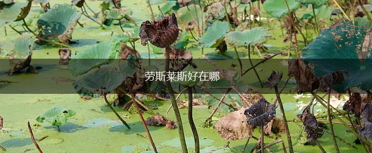 劳斯莱斯好在哪,第1张