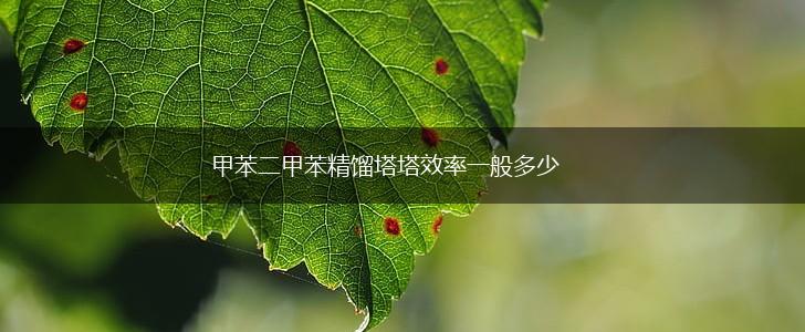 甲苯二甲苯精馏塔塔效率一般多少,第1张