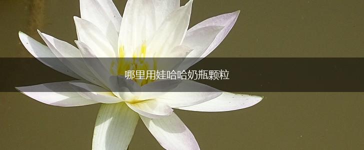 哪里用娃哈哈奶瓶颗粒,第1张