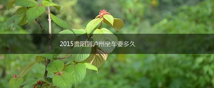 2015贵阳到泸州坐车要多久,第1张
