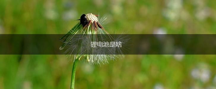 锂电池是啥,第1张